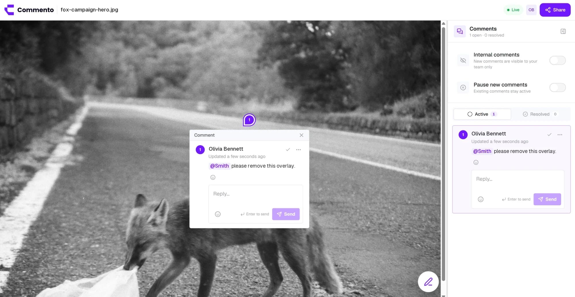 Comment on images and designs in Commento